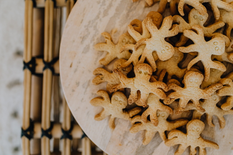 animal, large group of objects, gingerbread, high angle view, cookie, wood - material, indoors, no people, cookies, selective focus, candy, shape, 4K