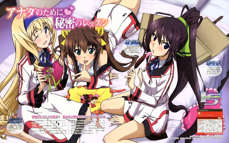 representation, art and craft, s, indoors, assorted, Infinite Stratos, manga, mask, no people, female likeness, leisure activity, clothes, disguise, human representation