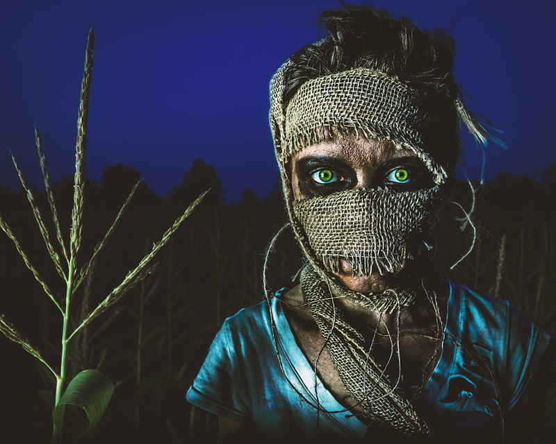 scarecrows, horror, Bryan McGowan, 1080P, green eyes
