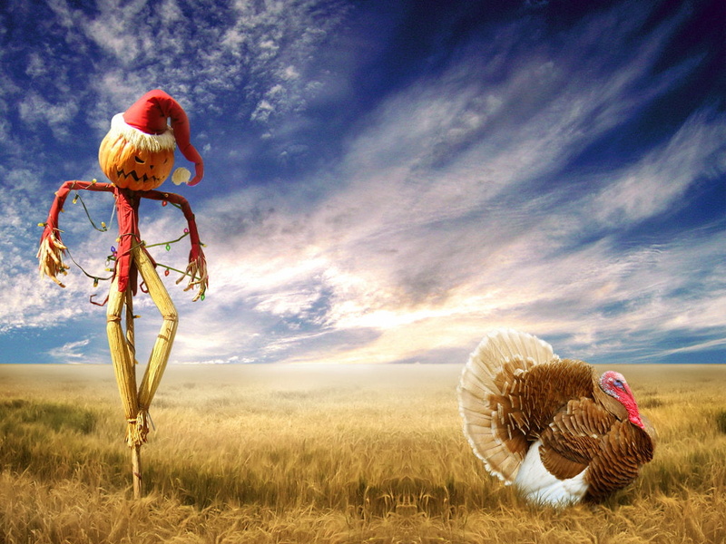 white, 480P, hd, scarecrow, black, peacock, crow, funny, scare, christmas