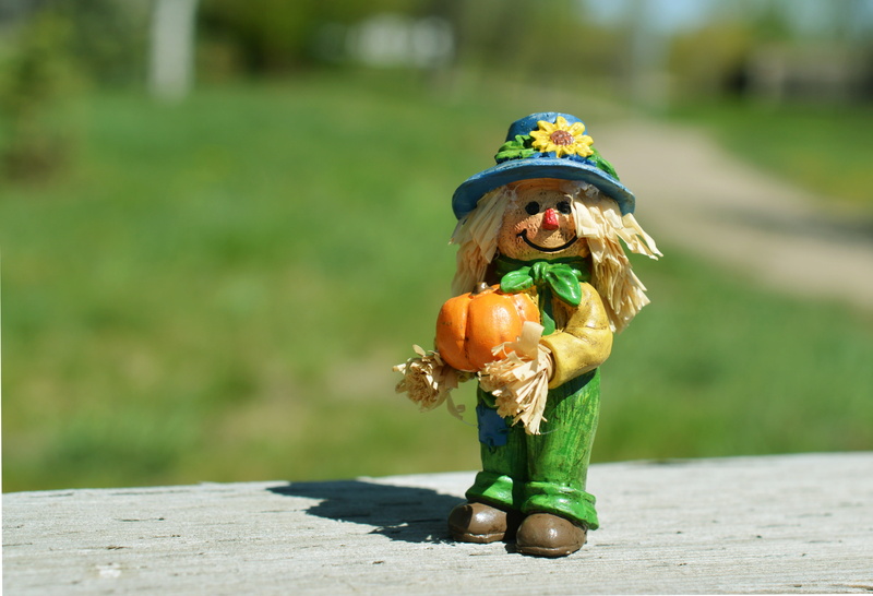 day, seasonal, focus on foreground, pumpkin, holiday, focus, one person, figurine, harvest, photography, 4K, food, scarecrow, toy, food and drink, innocence