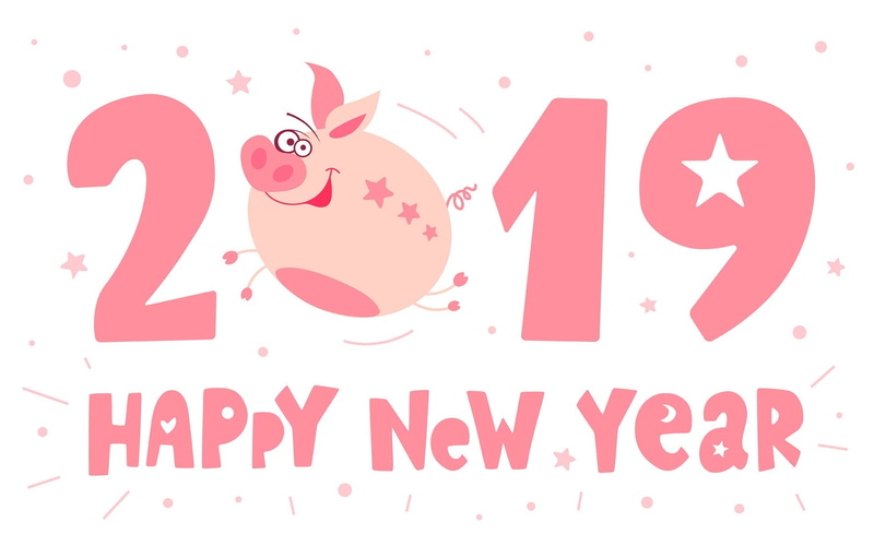 2019, Typography, year of pig, Decoration, funny pig, piggy, Chinese New Year, Illustration, Celebration, Holidays, Holiday, New Year, new, Design, Chinese
