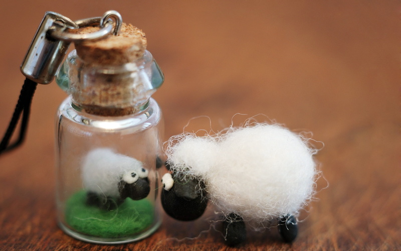 no people, wood - material, mammal, table, indoors, container, sugar, toy, seasoning, close-up, focus on foreground, stuffed toy, animal, salt - seasoning