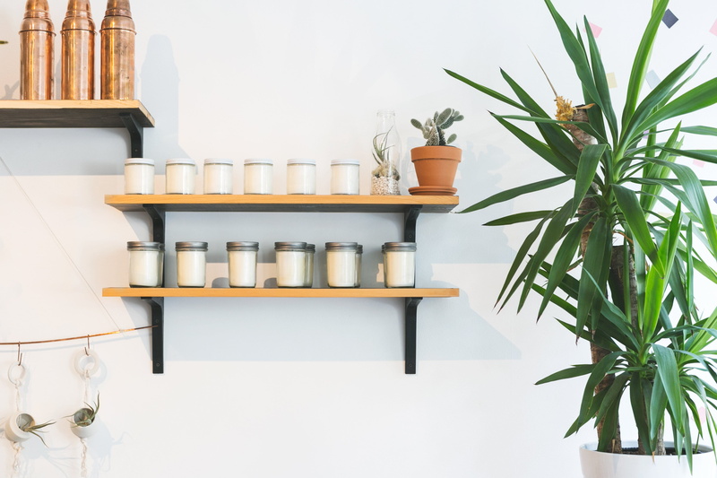 small, container, medicine, healthcare and medicine, Sale, no people, photo, 4K, indoors, plant, interior, potted plant, Plants, still life, nature, table