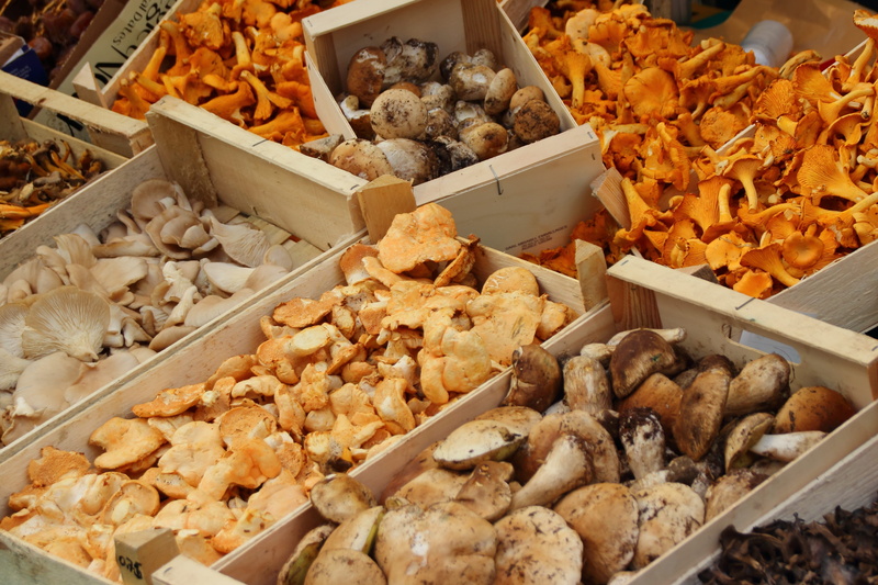 for sale, freshness, Mushrooms, variety, food, forest mushrooms, small business, consumerism, Chanterelles, still life, marketplace, large group of objects