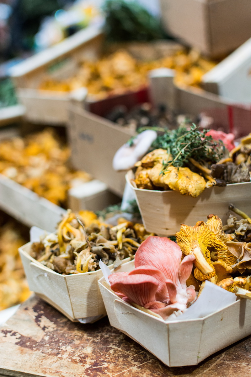 focus on foreground, 5K, retail, for sale, choice, still life, Mushrooms, wellbeing, market Stall, farmers, retail display, food and drink, plant, close-up