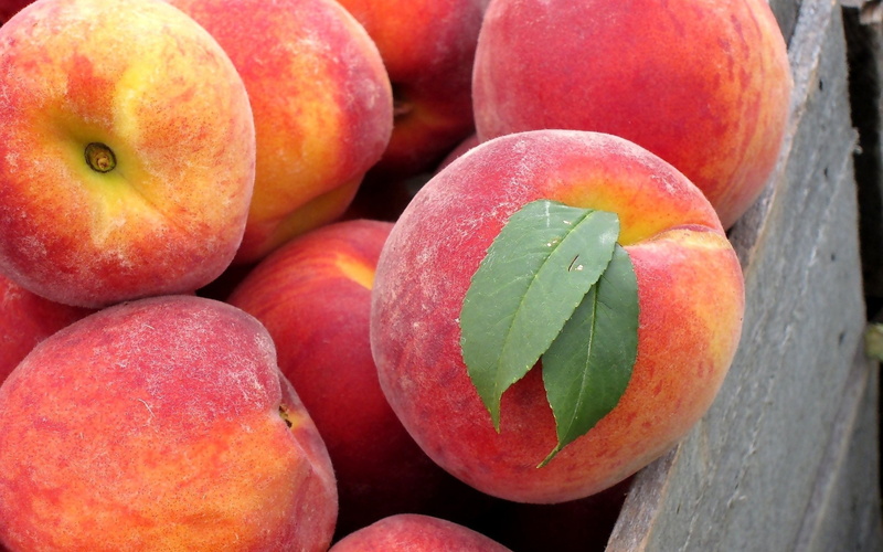 red, lot, 2K, Peach, close, Fruit