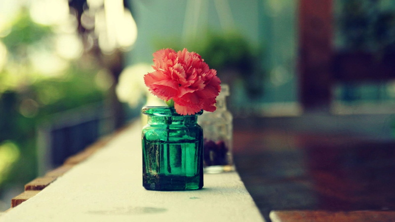no people, glass - material, day, glass, vase, green, jar, focus on foreground, flowering plant, selective focus, flower, fragility, close-up, bottle, vulnerability