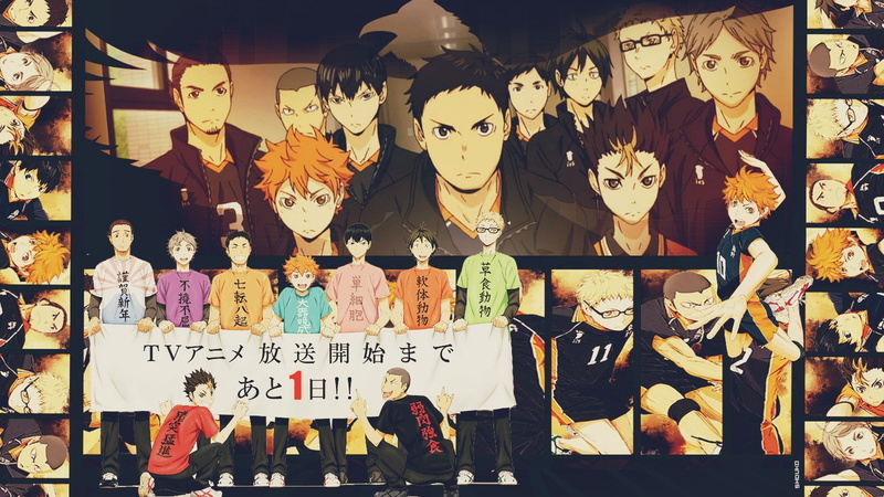 no people, art and craft, arrangement, sale, human representation, female likeness, indoors, variation, retail display, collection, retail, haikyu, market stall