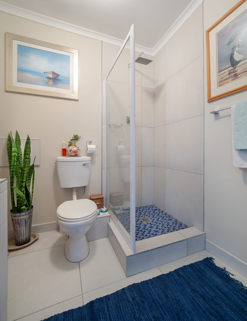 modern, flowering plant, room, light, no people, wc, shelf, luxury, mirror, clean, 4K, bathroom, shower, flooring, home showcase interior, tiles, indoors