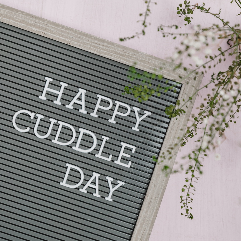 communication, studio shot, cuddle, day, business, romantic, white color, letter board, no people, single word, text, close-up, logo, plant, trademark