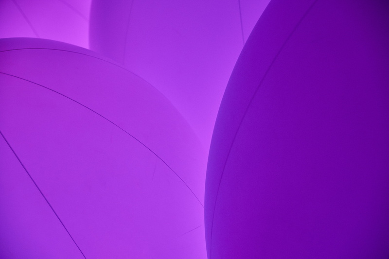 close-up, nature, day, page, art, text, overwatch, flower, no people, teal, built structure, blossom, night club, outdoors, inflatable, pattern, heart