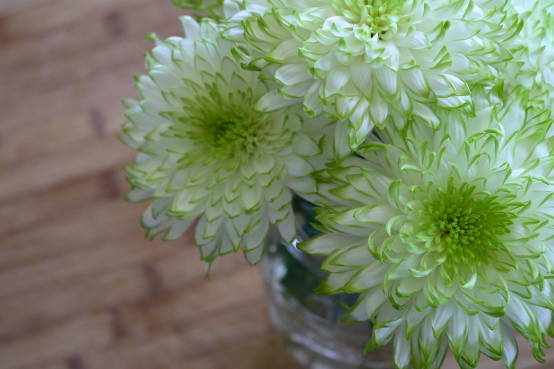 house, flower arrangement, white, summer, freshness, home decor, white color, home interior, flower, petal, close-up, designer, sun, stylish, outdoors