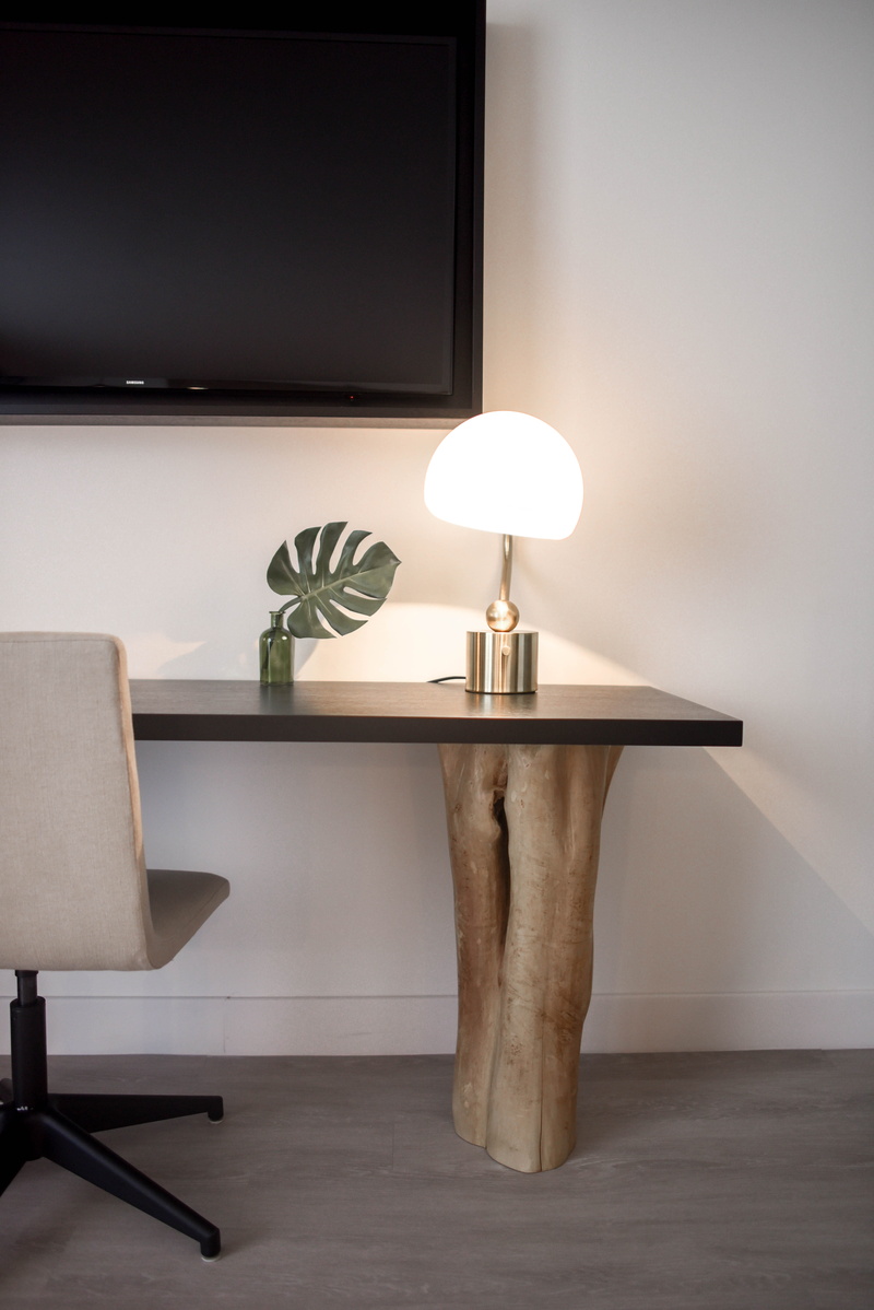 shade, comfort, white, stainless, apartment, publication, painted, interior, wall, contemporary, flat, absence, brown, base, steel, living room, no people