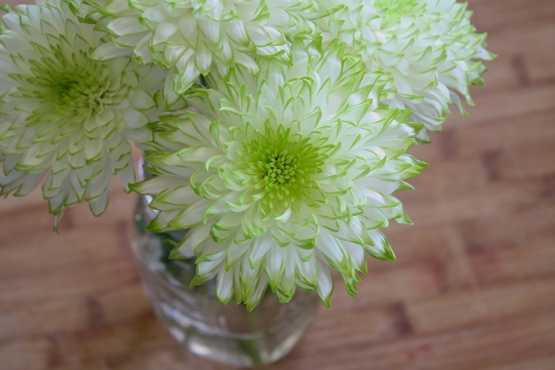 luxury, plant, jar, vulnerability, arrangement, focus on foreground, high angle view, fragility, green, design, lifestyle, close-up, sunlight, vase, romantic