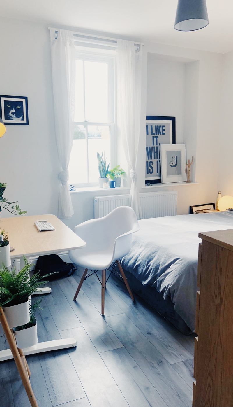 seat, housing, empty, hardwood, house, potted plant, bedroom, indoors, flora, jar, home showcase interior, domestic room, living room, coffee table, room
