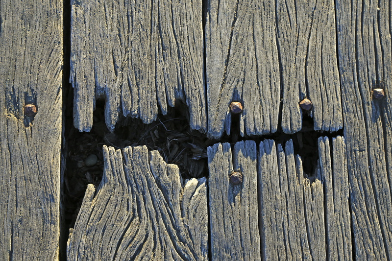 building, hardwood, nature, animal, plywood, 5K, bridge, rotten, worn, texture, wood - material, cracked, boundary, pattern, dark, timber, old, fence