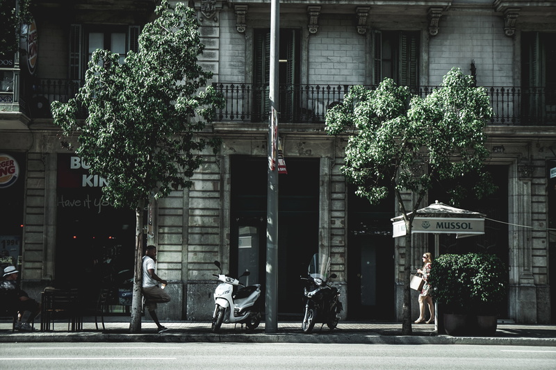 plant, transportation, scooter, wheel, group of people, motor, person, day, pedestrian, tarmac, 5K, urban, vehicle, built structure, tree, road, real people