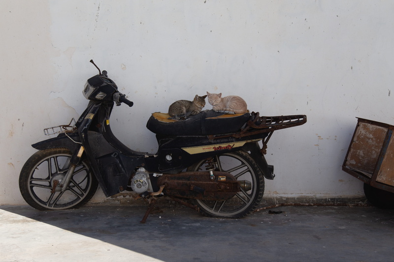 vespa, scooter, grey, outdoors, flooring, carriage, built structure, mode of transportation, moped, 4K, vehicle, stationary, bike, dirt road, wheel, wall
