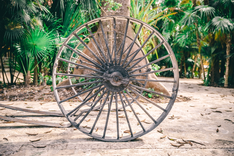 land, gear, spoke, abandoned, furniture, wood - material, machine, field, arbour, transportation, carriage, gray, chair, no people, tree, 5K, hubcap, halter