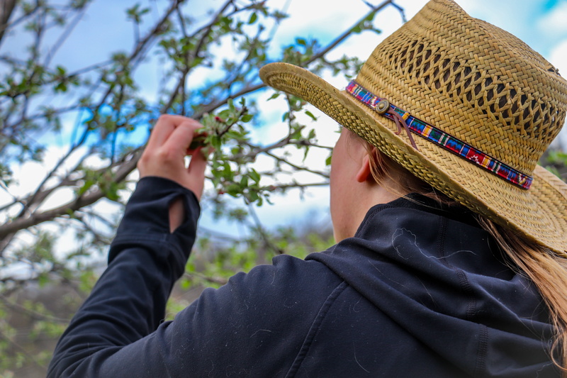 5K, spoke, bonnet, jacket, nature, day, apparel, portrait, sun hat, sombrero, headshot, machine, contact lens, food, finger, clothing, focus on foreground