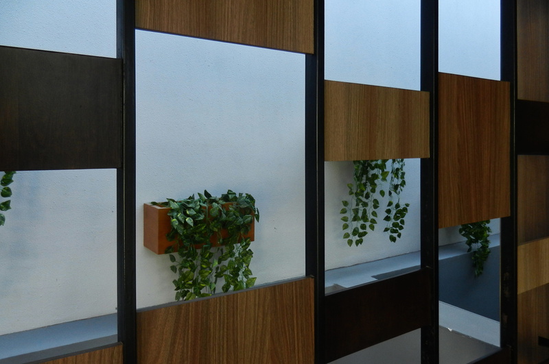 vine, built structure, reflection, sliding door, cupboard, indoors, cabinet, potted plant, door, green color, blossom, hanging, nature, transparent, wall