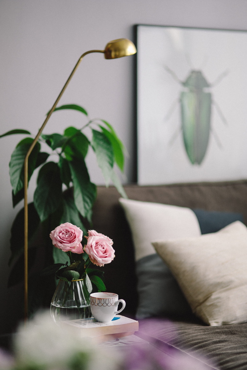 plant part, freshness, coffee, roses, books, domestic Room, decor, sofa, lovely, time, cup, modern, table, apartment, book, interior, potted plant, pillow
