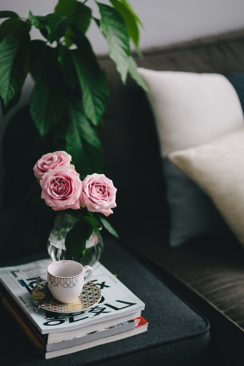 interior, domestic Room, lovely, fragility, essentials, books, furniture, reading, focus on foreground, decor, flower, book, crockery, elegance, coffee