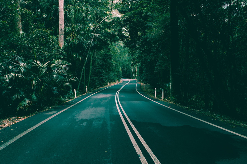 trees, highway, no people, tarmac, sad, green color, arbour, symbol, growth, direction, green, sideboard, sign, cover, marking, empty, furniture, the way forward