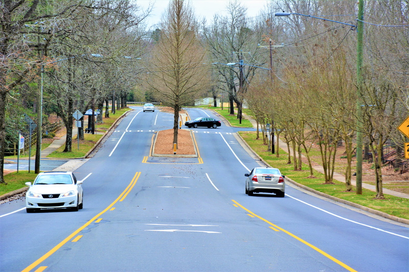 woodland, street, sign, road, treelined, tarmac, way, symbol, city, land vehicle, dividing line, grove, outdoors, automobile, vehicle, plant, incidental people