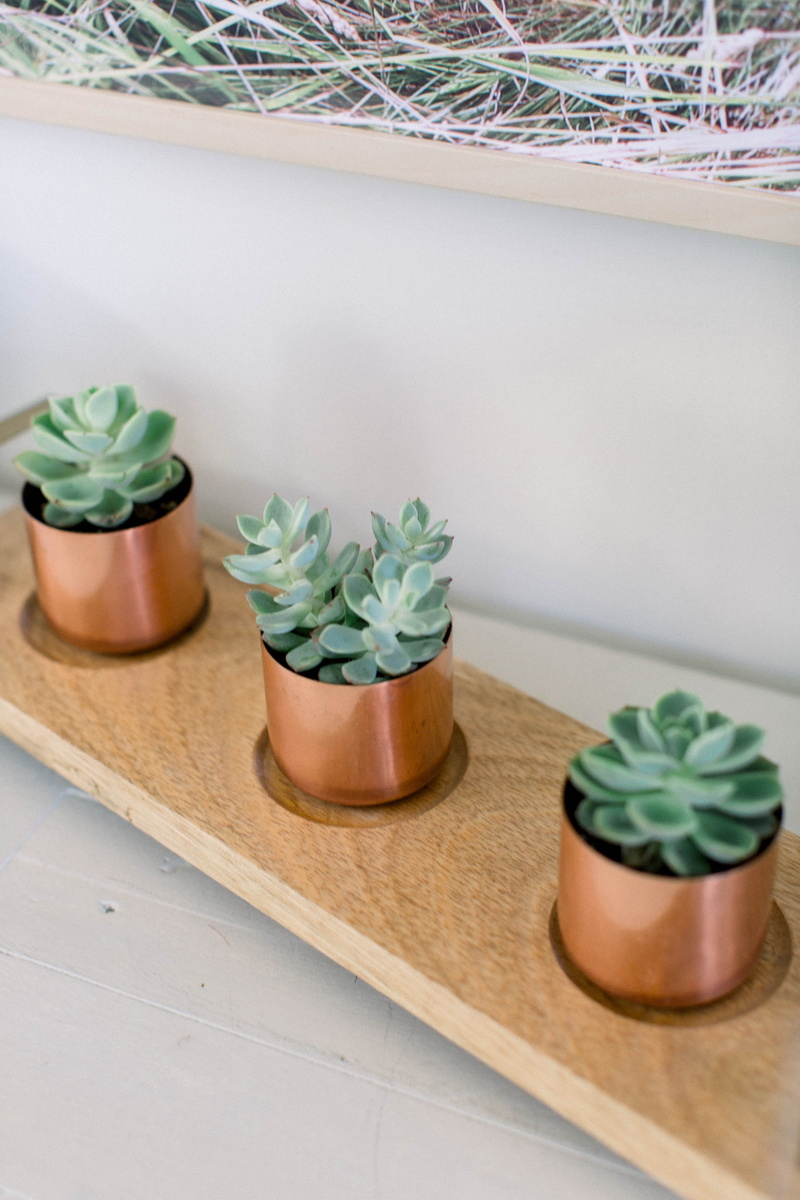 wood, close-up, flower pot, candle, wood - material, geranium, sideboard, 5K, plants, origami, houseplant, no people, freshness, herb, shelf, flower, table