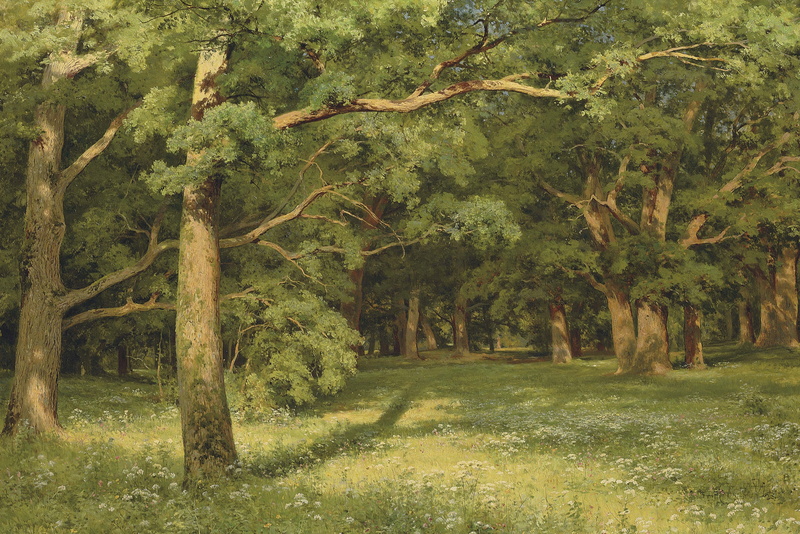 paintings, forest, x, nature, 4K, ivan, forests, shishkin, hd, art