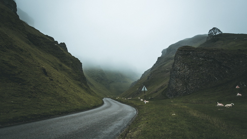 wet road, UK, peak district, mist, sheep, road, landscape, 1080P, mountains, sign, nature, winnats pass
