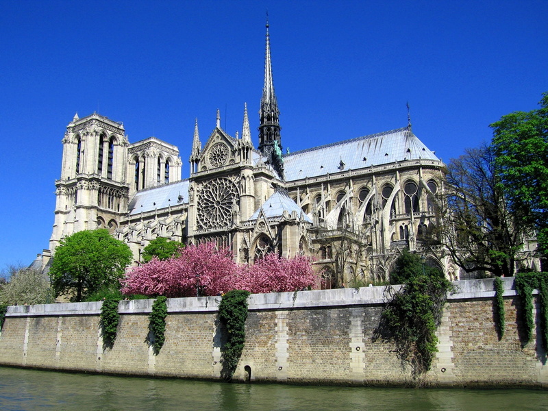 building, cultures, religion, notre-dame de paris, church, medieval, travel Destinations, paris, french Culture, france, no people, architecture, building Exterior