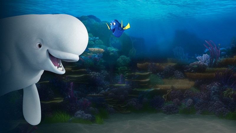 Finding Dory, 1080P, Dory (Finding Nemo), Bailey (Finding Dory), Movie