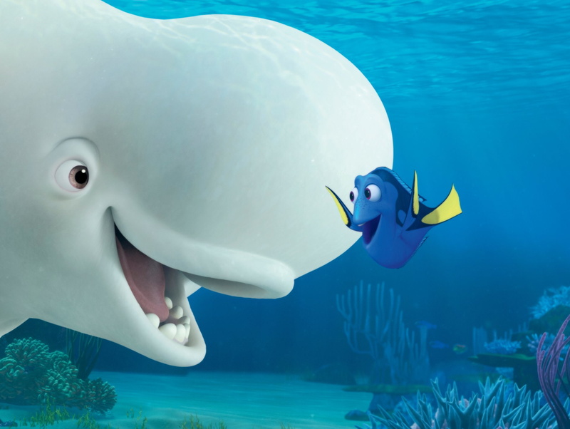 1080P, Movie, Finding Dory, Dory (Finding Nemo), Bailey (Finding Dory)
