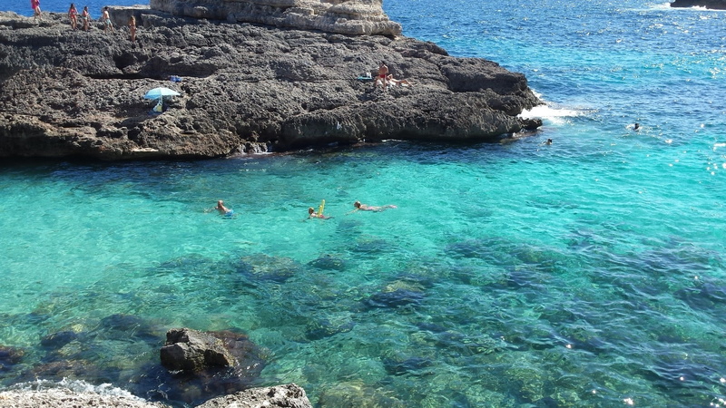 palma de majorca, sea, water, calo des moro, 1080P, animal wildlife, creek, beauty in nature, turquoise colored, real people, rock - object, swimming