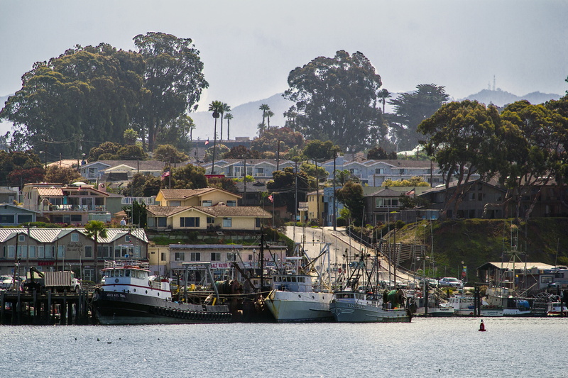 nature, coastline, architecture, water, nautical Vessel, plant, city, calm, moro bay, shore, tourism, harbor, building, built structure, no people, waterfront