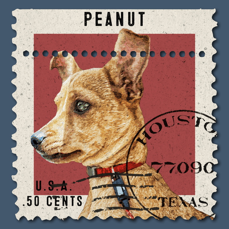close-up, one animal, no people, mail, western script, postcard, capital letter, indoors, retro, pets, red, dog, mammal, non-western script, stamp, vintage