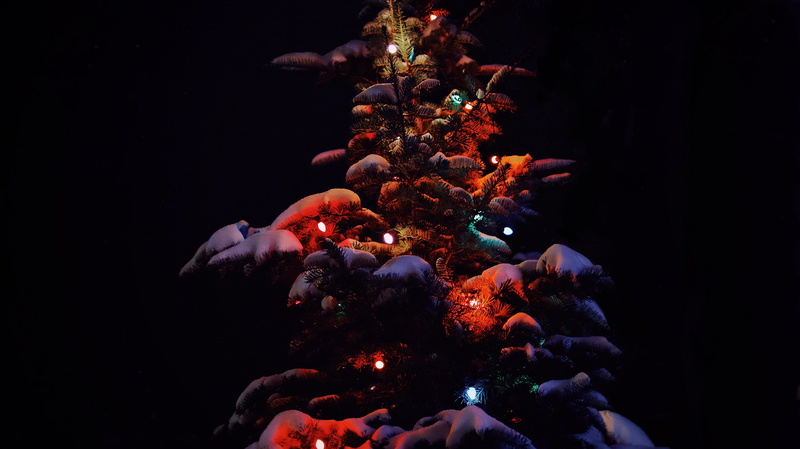 ornament, fir, outdoors, decoration, desktop, christmas decoration, reef, christmas ornament, illuminated, still life, celebration, studio shot, 5K, christmas tree