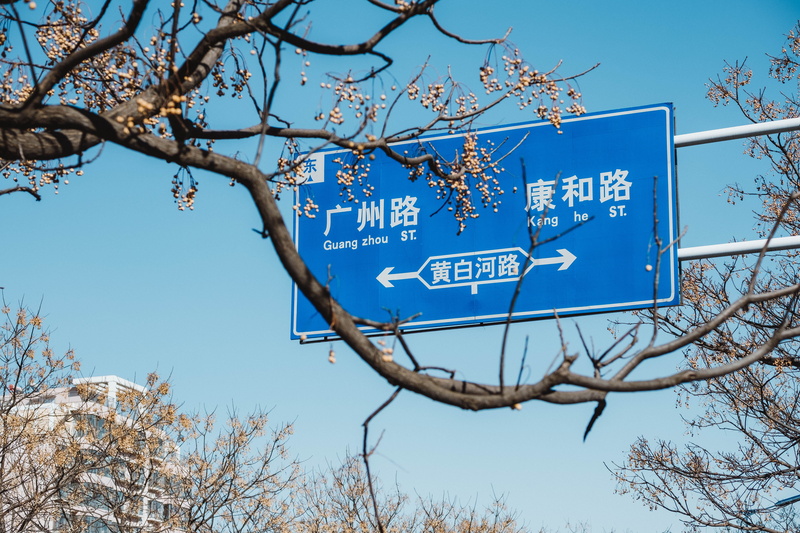 western script, no people, signage, growth, low angle view, tree, non-western script, jay, label, 5K, script, branch, flower, sky, blossom, clear sky