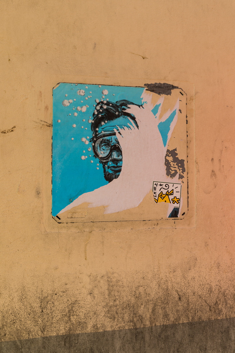 weathered, art, street, text, communication, mural, day, creativity, animal representation, architecture, city, wall, damaged, swimming, street art, 5K
