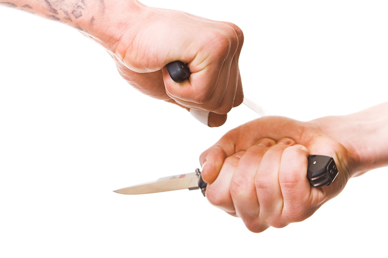 training, sport, human body part, shu, block, coaching, apparatus, karate, 4K, white background, defence, close-up, human hand, males, people, men, combat
