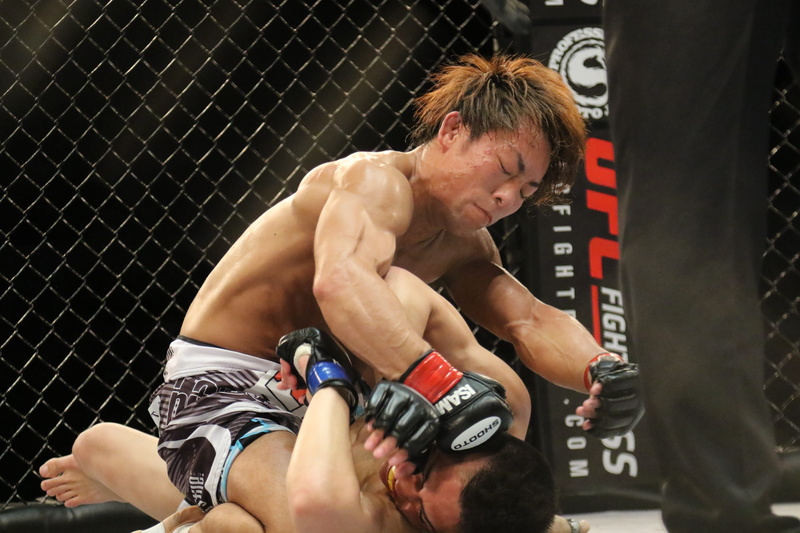girls, Mixed Martial Arts, football, adults only, one man only, girls ring, japanese, japao, men, shirtless, muscular build, males, saruta, cage, shorts