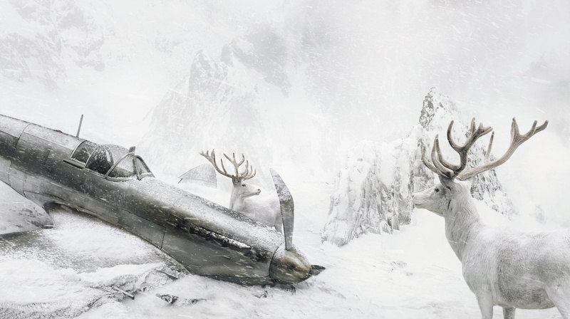 crash, 1080P, snowing, airplane, Martin Stranka, accidents, nature, mountains, deer, wreck, winter, mist, landscape, Photoshop, snow, animals