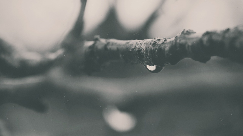 drop, frost, 1080P, day, backgrounds, white, snow, moist, photography, calm, ice, reflection, snowing, branch, nature, cold temperature, season, freshness
