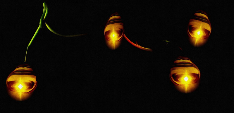electricity, illuminated, lighting equipment, lights, no people, variation, indoors, electrical equipment, choice, power supply, celebration, group of objects
