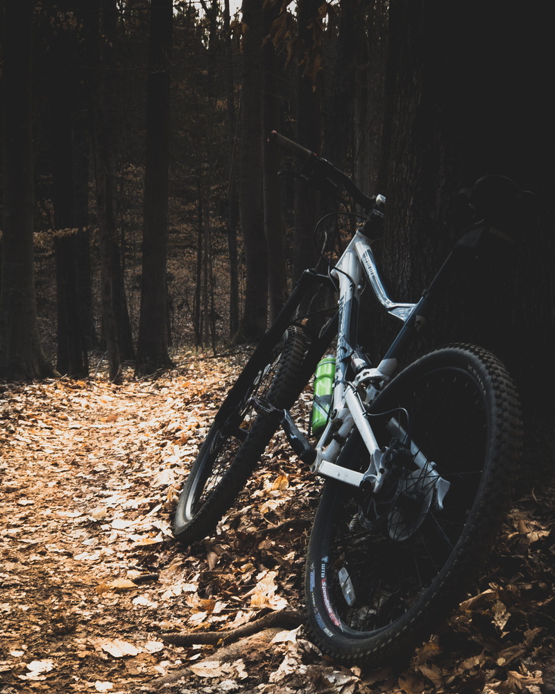 sunset, transportation, bicycle, tree, path, 2K, forest, road, helmet, leaves, plant part, land, autumn, wheel, lake, stationary, field, trail, hike, nature