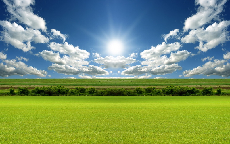rural Scene, day, summer, clouds, light, crop, tranquility, outdoors, landscaped, hill, vibrant Color, landscape, plain, panoramic, environment, tree, sun