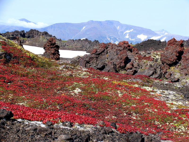 eroded, clouds, scenics - nature, plant, mountain range, the lava language, formation, physical geography, tranquil scene, open space, plants, height, environment